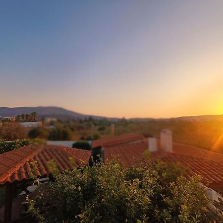New Olivka House Villa Anavyssos Dış mekan fotoğraf