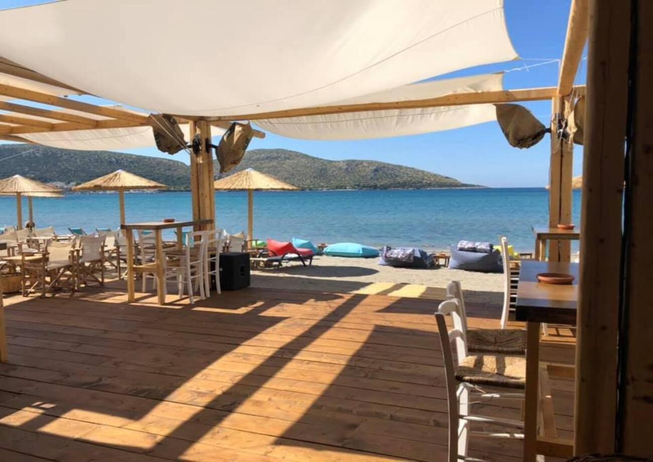 New Olivka House Villa Anavyssos Dış mekan fotoğraf