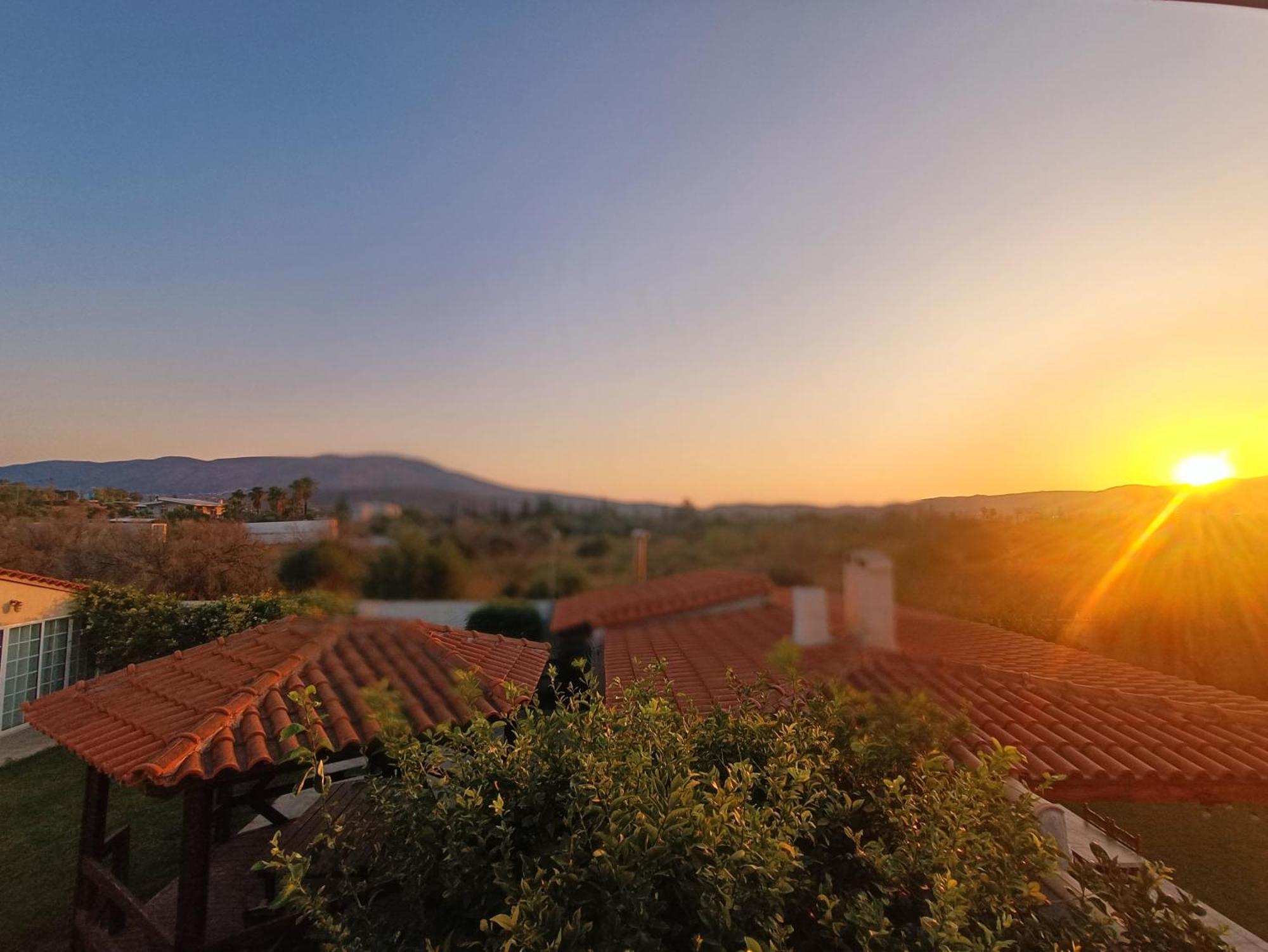 New Olivka House Villa Anavyssos Dış mekan fotoğraf